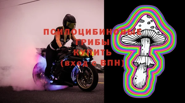 винт Михайлов