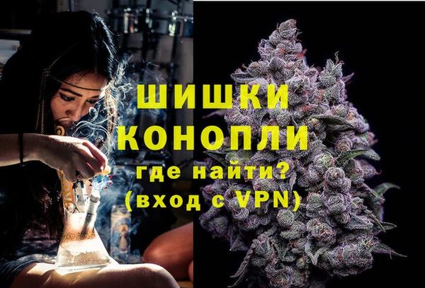 стаф Михайловск