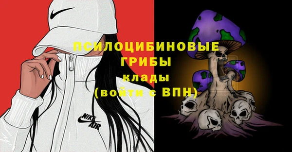 стаф Михайловск