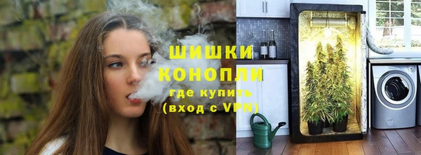 стаф Михайловск