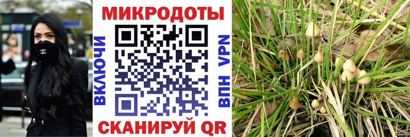 Галлюциногенные грибы ЛСД  Поворино 